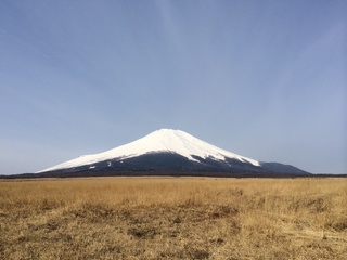 4月13日野焼き2.jpg