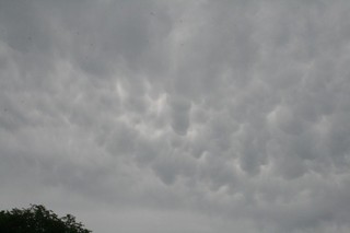 7月6日梅雨明けからの雲.jpg