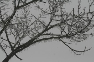 2016年1月30日