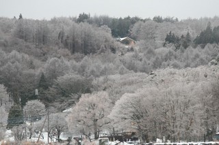 2016年1月30日