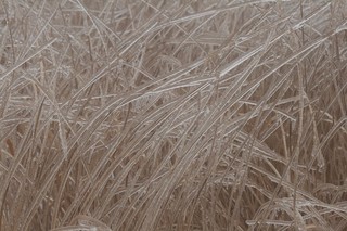 2016年1月30日