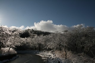 雨氷8.jpg