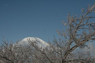 雨氷9.jpg