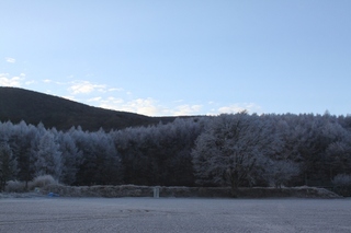 霧氷5.jpg